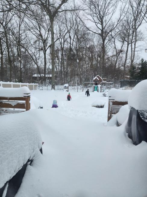 S2